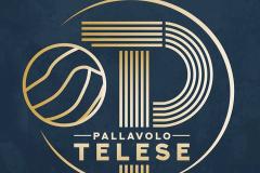 PALLAVOLO TELESE LOGO