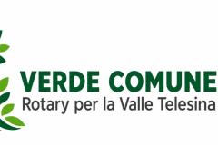 VERDE COMUNE