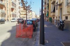 VIA CAVOUR ALBERI 01