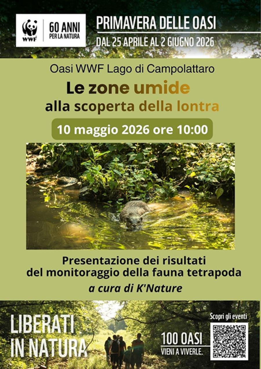 PRIMAVERA OASI LOCANDINA