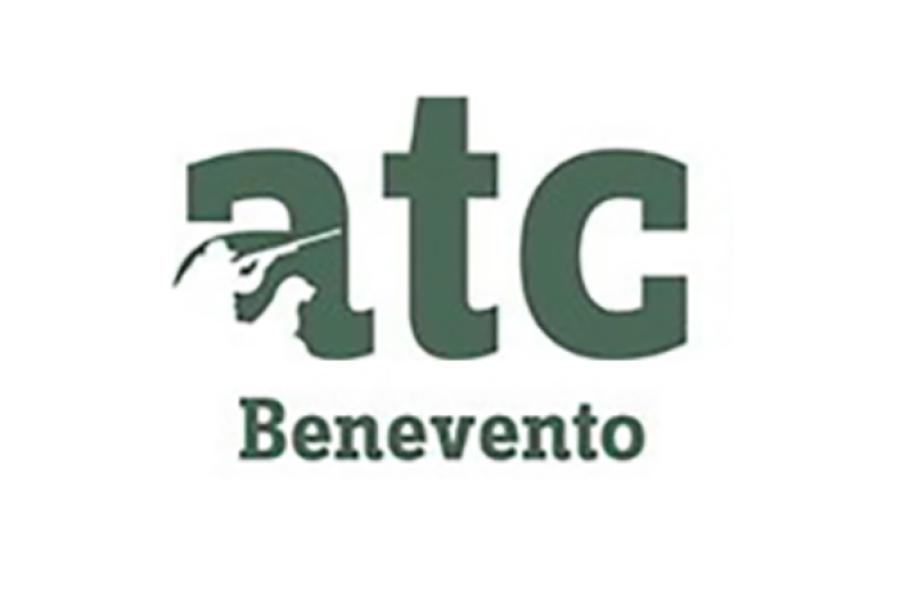 ATC BENEVENTO LOGO