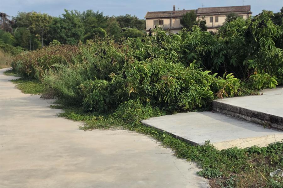 PARCO DE MITA INCOLTO 08.2026 02