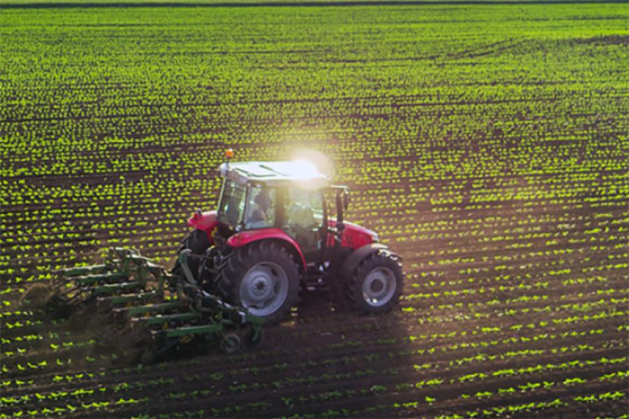 AGRICOLTURA GENERICO