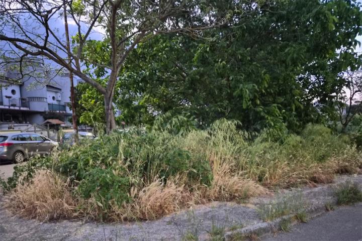 PULIZIA TERRENO INCOLTO 02