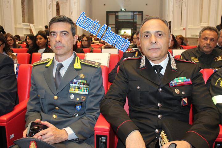 VIOLENZA GENERE 18
