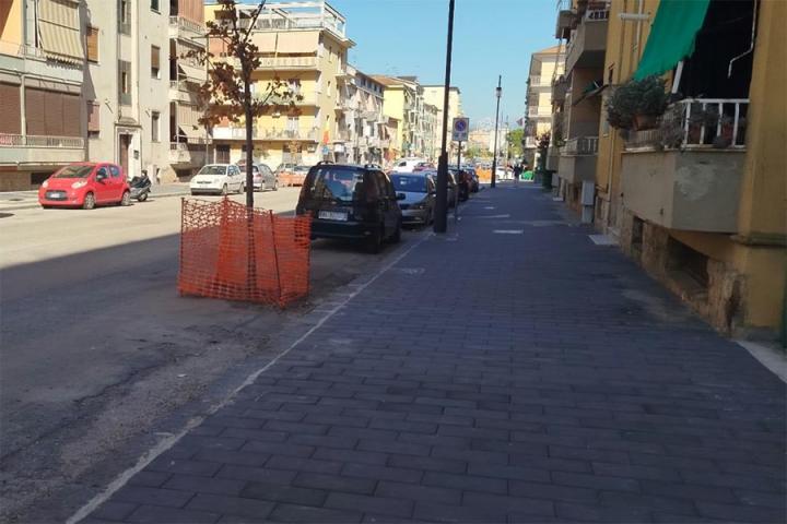 VIA CAVOUR ALBERI 02
