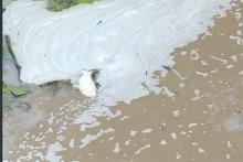 SCHIUMA FIUME CALORE